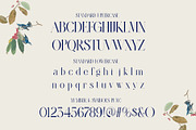Magira Modern Elegant Serif Font, a Serif Font by Alfinart (Thumbnail 10 of 10)