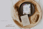 The Art of Ephemeral, an Illustration by Isabelle Salem (Thumbnail 11 of 12)