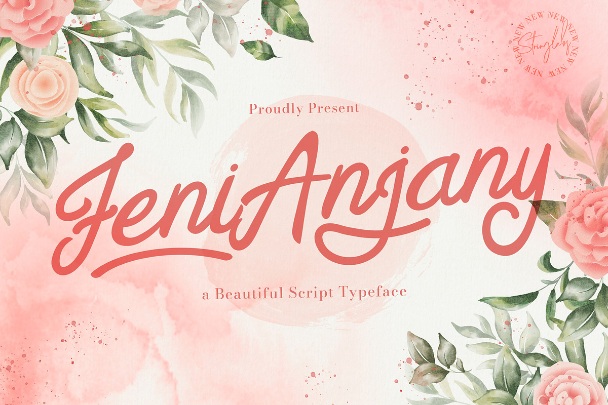 Feny Anjany - Handwritten Font, a Script Font by StringLabs (Photo 1 of 10)