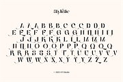 Quessera Font, a Sans Serif Font by Oui Studio (Thumbnail 13 of 21)