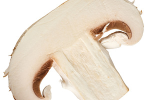 Slice of raw white champignon on isolated background, a Food & Drink Photo by ndanko