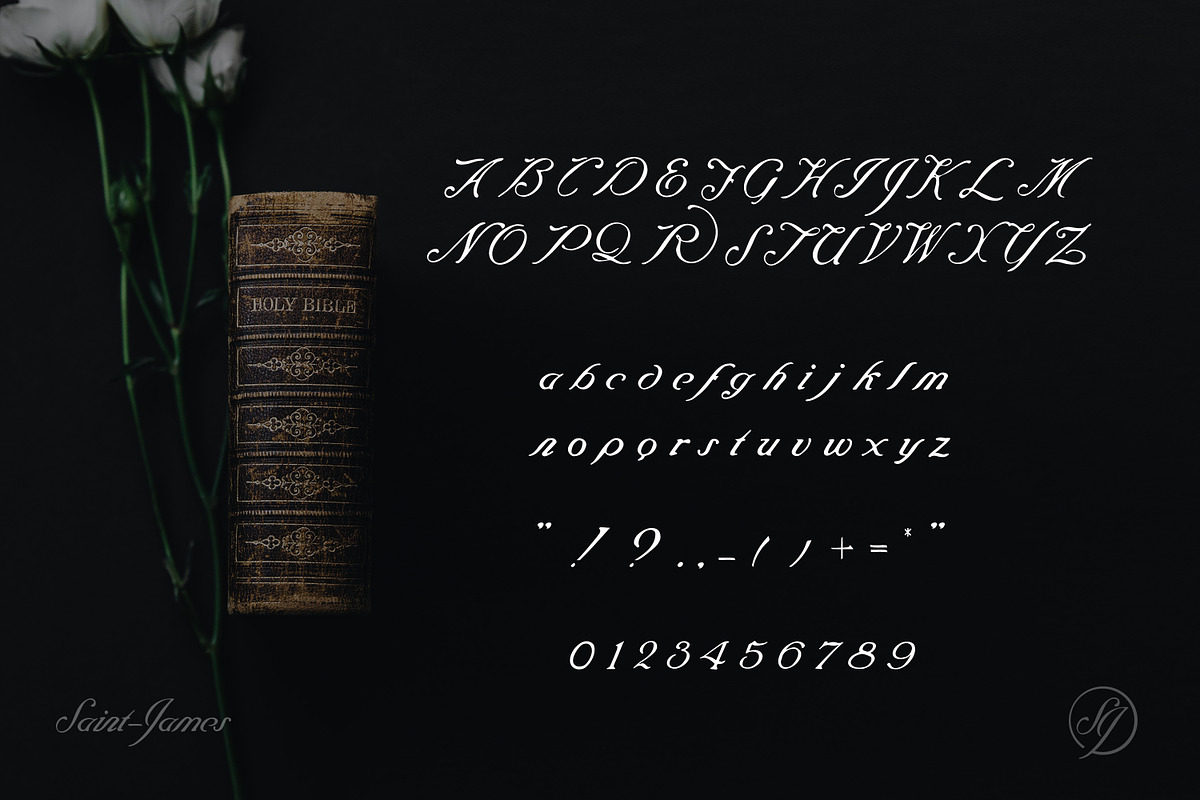 Saint James /The Blessed Script Font preview 7