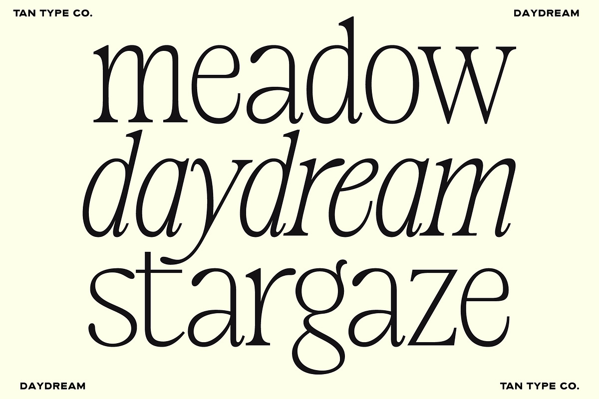 TAN-MIDSUMMER- DUO FONT, a Serif Font by TanType (Photo 2 of 10)