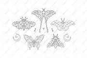 Halloween moths, a Decorative Illustration by OlgaSoi007 (Thumbnail 5 of 7)