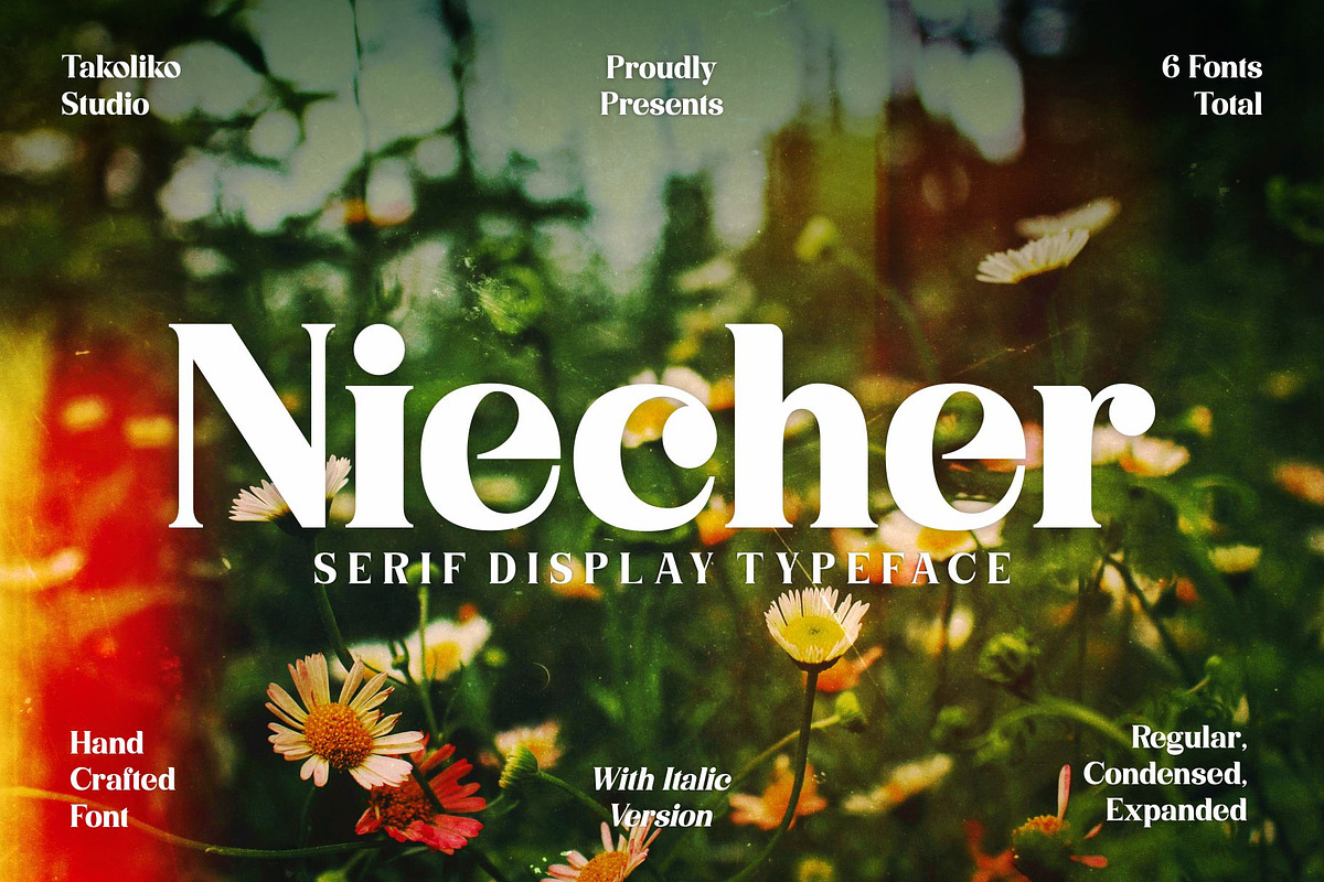 Niecher-Serif Display, a Serif Font by takoliko (Photo 1 of 13)