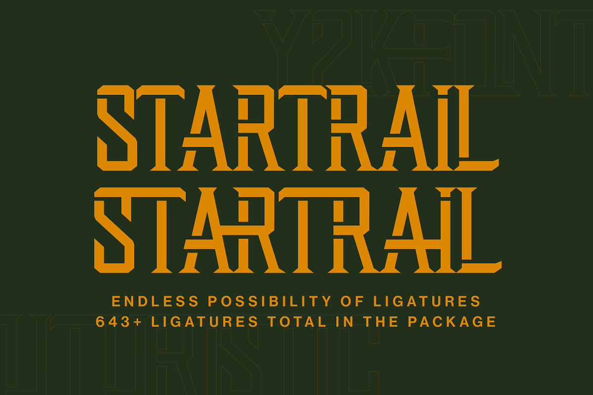 Startrail Futuristic Retro Family, a Serif Font by Lettertype Studio (Photo 3 of 15)