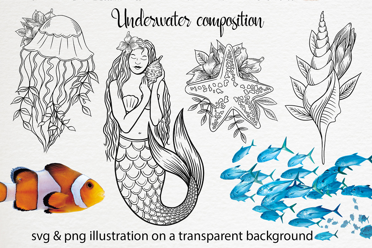 Underwater life set clipart, an Illustration by Gennadi Digital Studio (Photo 5 of 6)