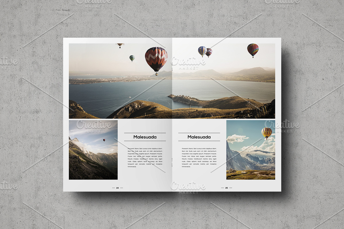 Multipurpose Portfolio Template, a Brochure Template by ShapShapy (Photo 13 of 14)