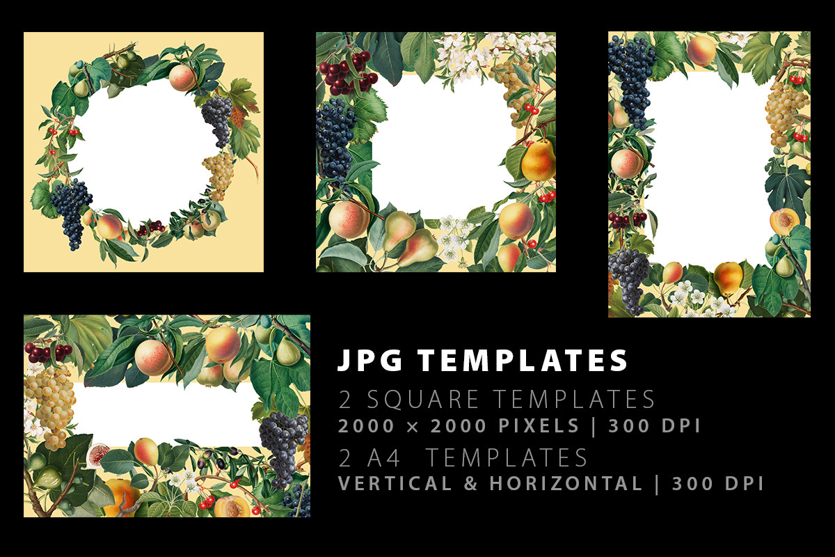 Fruit illustrations pack 2, a Food Illustration by Padrinan (Photo 4 of 5)
