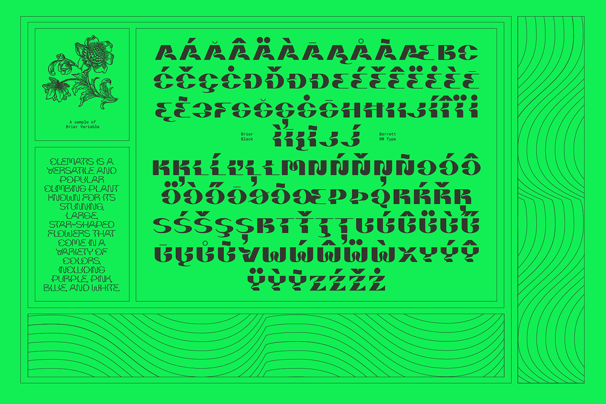 Briar - Fluid Variable Typeface, a Sans Serif Font by Barrett Reid-Maroney (Photo 2 of 10)