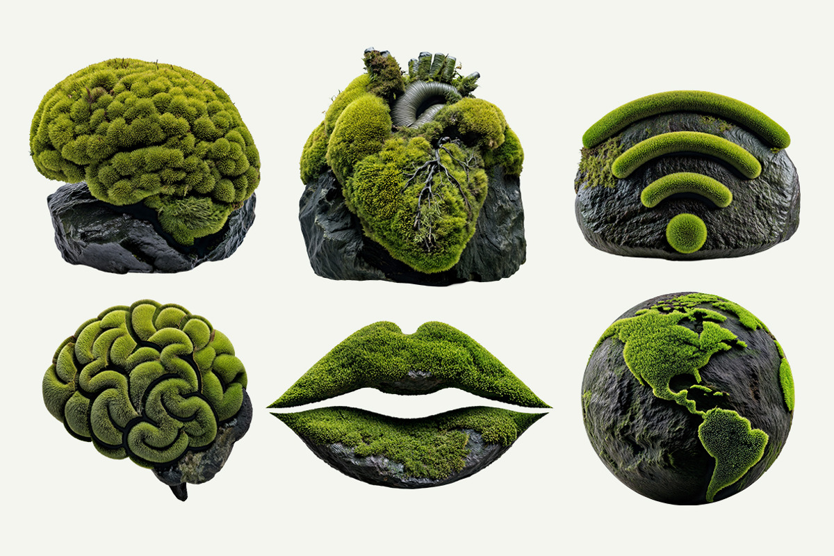 Moss on Rock Font, a Sans Serif Font by Handmadefont (Photo 12 of 16)