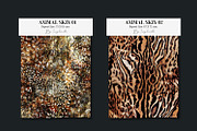 Animal Skin | 16 Patterns, a Pattern Graphic by Luiz da Rolt Grathwohl (Thumbnail 5 of 9)