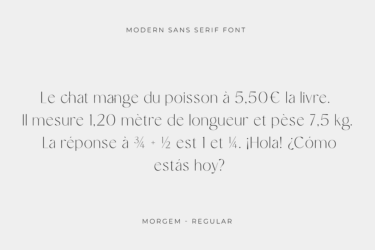 Morgem – Modern Sans Serif Font, a Sans Serif Font by Issam Type (Photo 4 of 9)