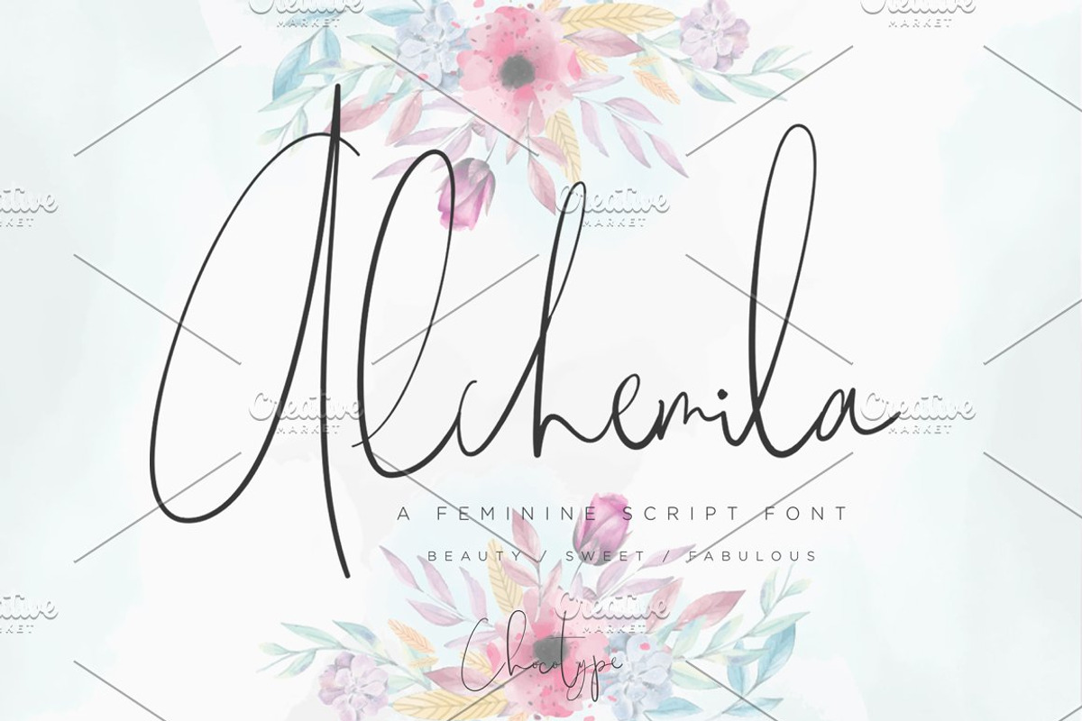 Wonderfull Font Collection, a Script Font by Chocotype Std (Photo 6 of 51)