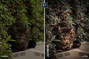 BEST MOBILE + PC Lightroom Presets, a Plug-in Add-On by @guillepixl (Thumbnail 6 of 16)