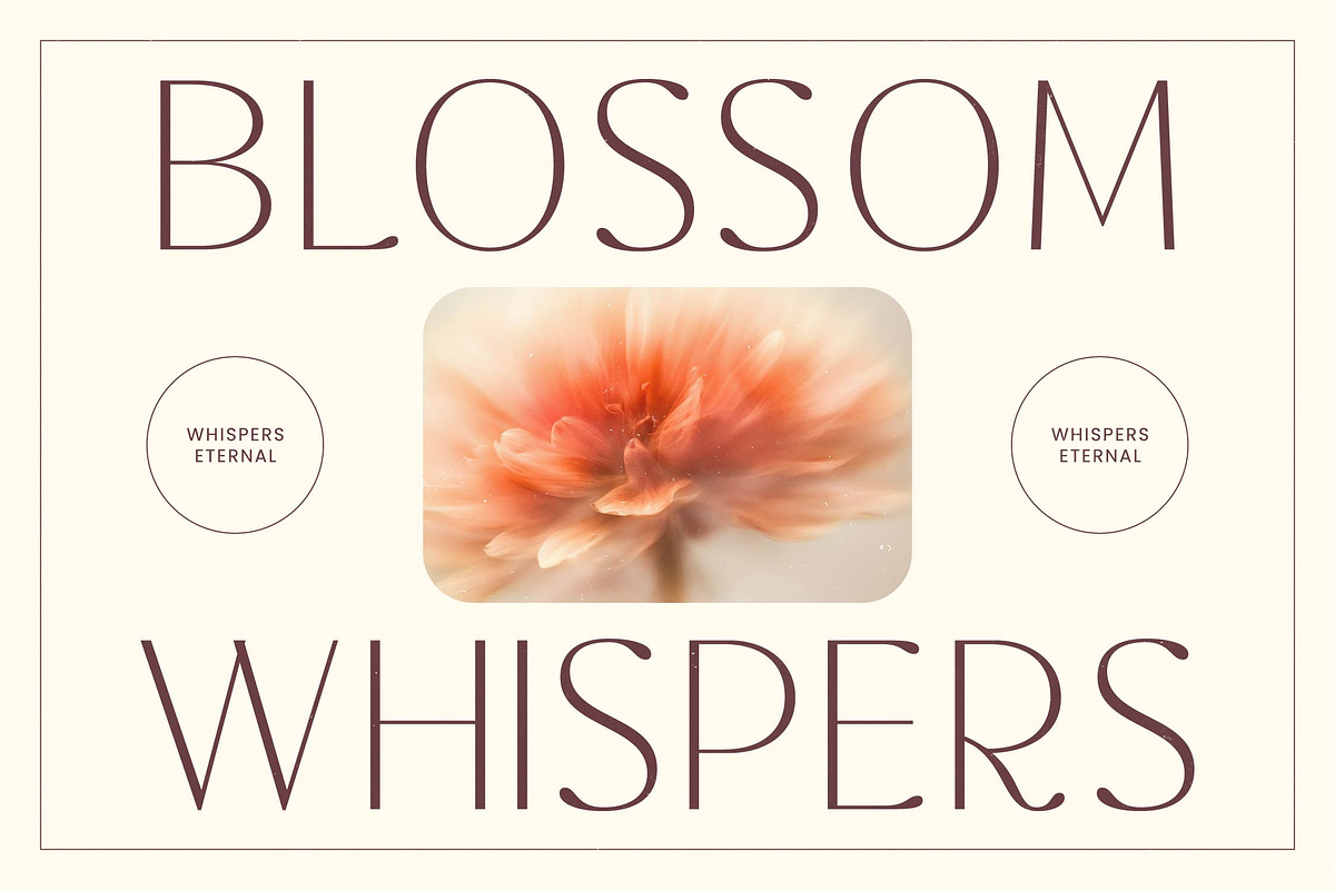 Rafbela Egitha Elegant Sans Serif, a Sans Serif Font by timelesstype.co (Photo 3 of 20)
