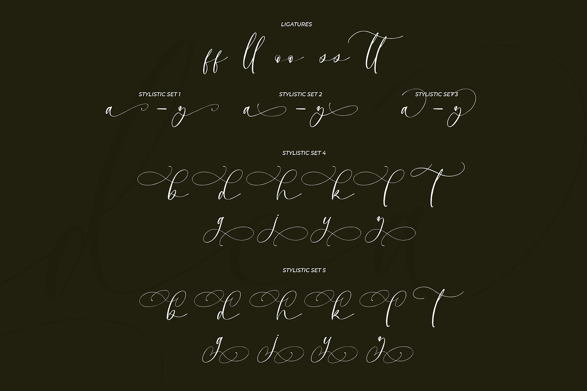 Longidea, a Script Font by Nathatype (Photo 8 of 10)