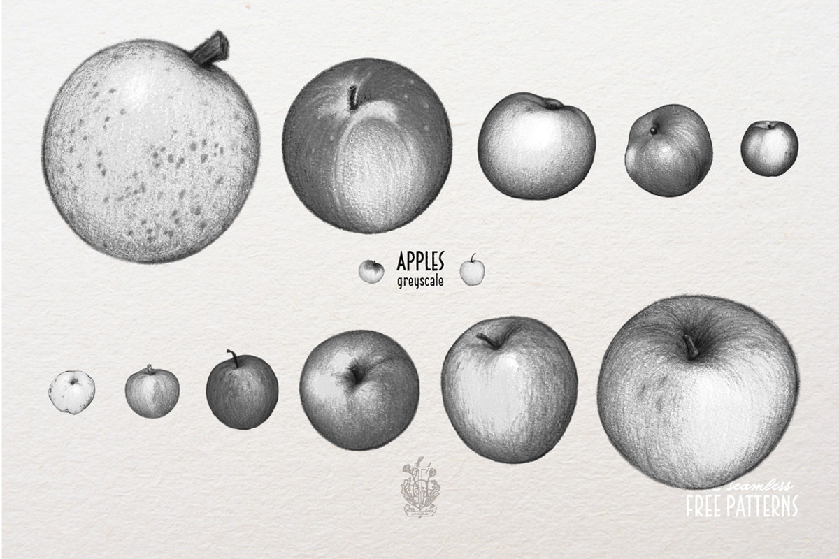 Apples With Colour Pencils + Bonus, a Food Illustration by Andrea Tardivo (Photo 5 of 15)