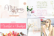 Handwritten Fonts Collection, a Script Font by Areatype (Thumbnail 18 of 62)