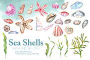 Watercolor Sea Shells Illustrations, a Work Illustration by TanataDesign (Thumbnail 3 of 10)
