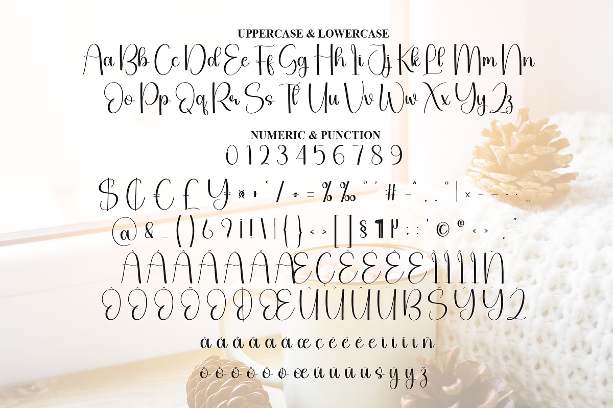 Wednesday | Script Font, a Handwritten Font by Scratchones (Photo 7 of 9)