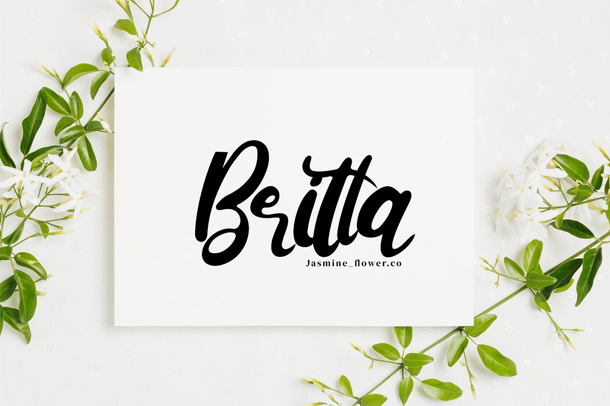Ketty & Cutte, a Script Font by Integritype Studio (Photo 4 of 9)
