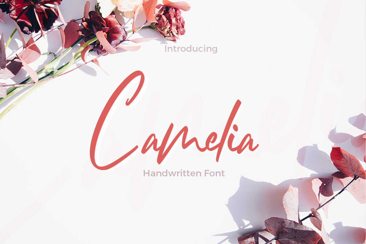 Camelia