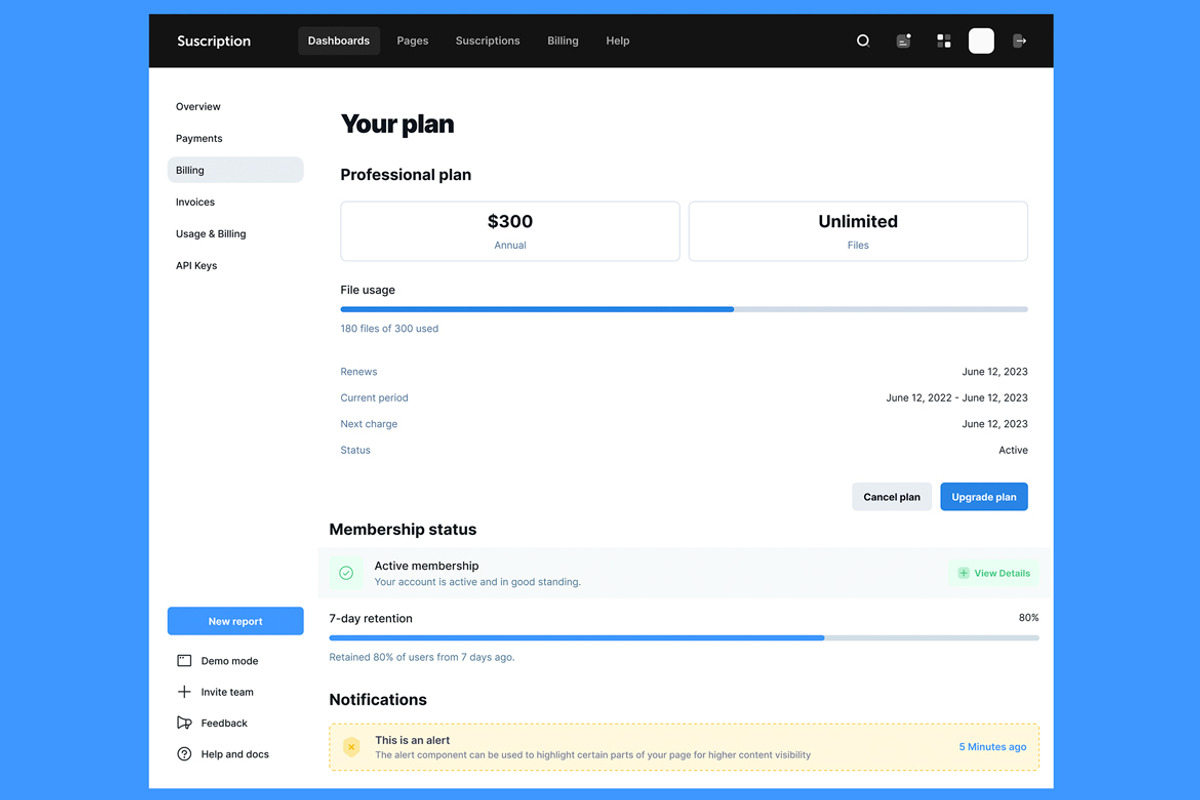 Subscription Dashboard, Bill Web App, an App Template by nagaredesignstudio (Photo 5 of 5)