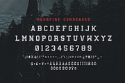 Bushfire - 4 Font Family, a Slab Serif Font by Greg Nicholls (Thumbnail 8 of 8)