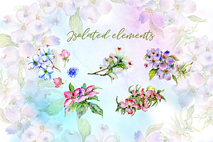 Cool Dogwood Colorful Flower PNG Set