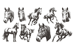 Horses engraving set. Horse, an Animal Illustration by Stock-Smart-Start