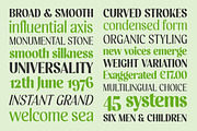 Scootchy, a Sans Serif Font by Typogama (Thumbnail 7 of 13)