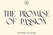 Eros Romano - Elegant Font, a Sans Serif Font by GraphicDash (Thumbnail 5 of 11)