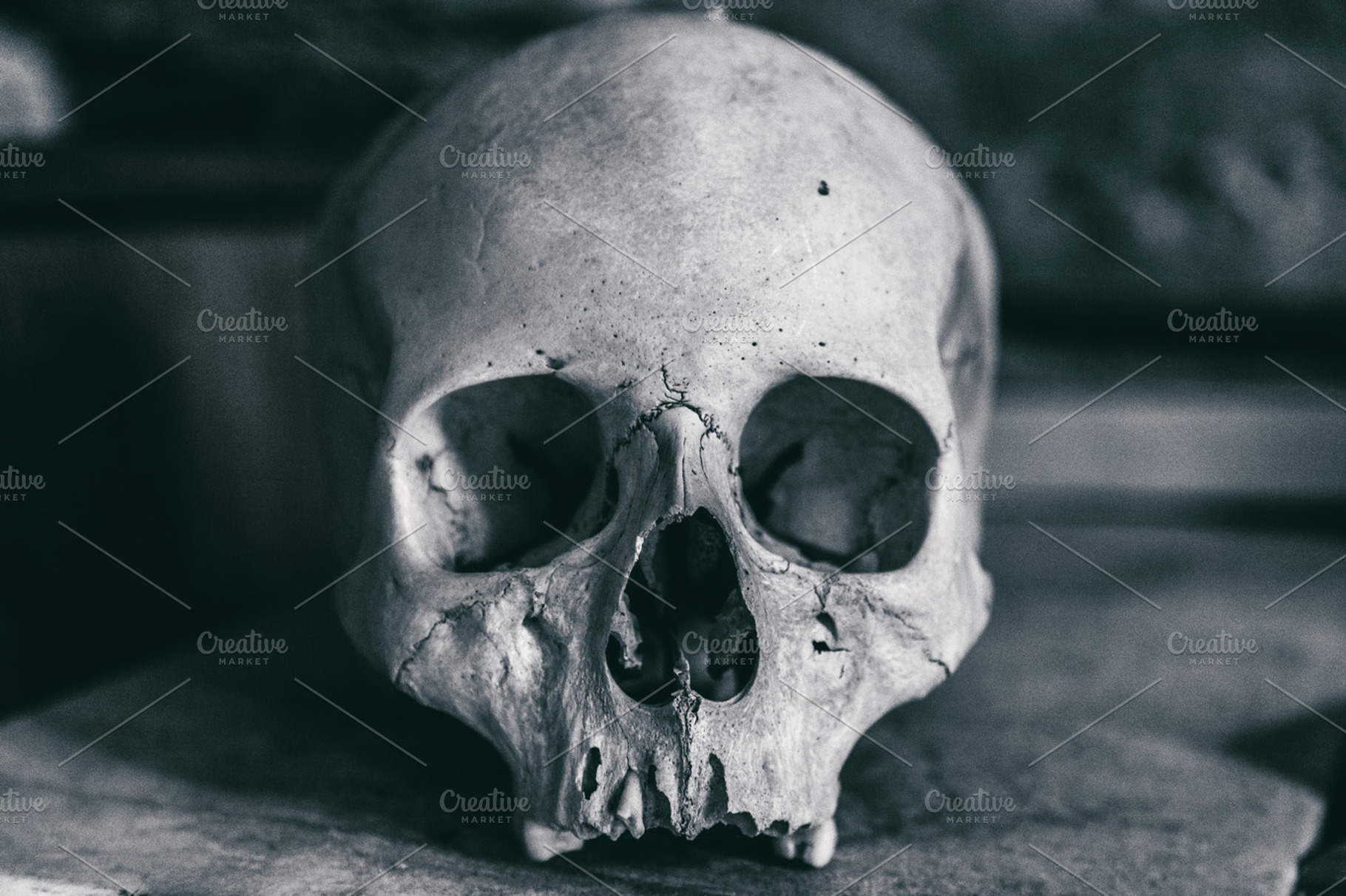 Dramatic Human skull, a Health & Medical Photo by rtyc