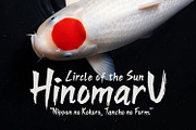 Densha Ni Arimasu Japanese Brush, a Handwritten Font by Maulana Creative (Thumbnail 4 of 7)