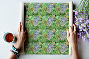 Watercolor Pretty Succulents, an Illustration by Graphobia (Thumbnail 10 of 10)
