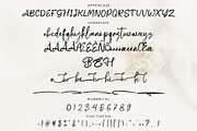 Antellove Feminine Script Font, a Script Font by NTC Graphic (Thumbnail 8 of 9)