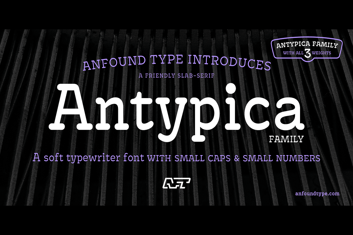 Antypica Family, a Slab Serif Font by Anfound Type (Photo 1 of 12)