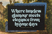 Maker Today Modern Retro Serif, a Serif Font by timelesstype.co (Thumbnail 10 of 15)