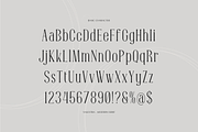 Valestra | Display Modern Serif, a Serif Font by gracetype_studio (Thumbnail 10 of 12)