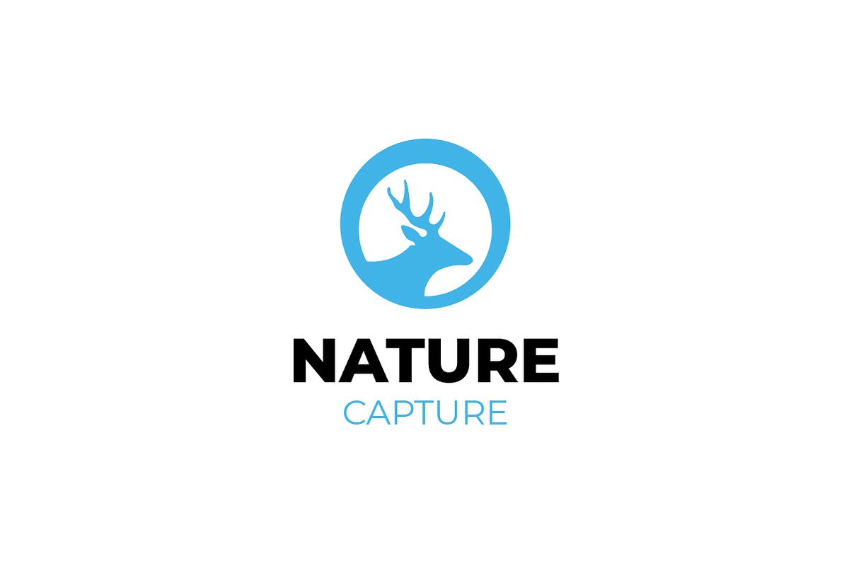 Wildlife Photography Deer Logo, a Branding & Logo Template by bvcreates (Photo 3 of 6)