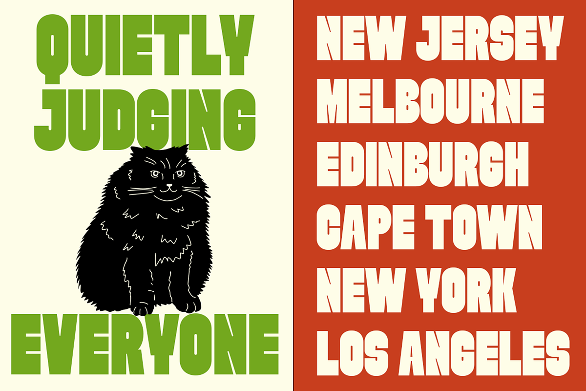 Evori - Bold Condensed Display Font, a Sans Serif Font by Pekotype (Photo 11 of 15)