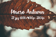 Macro Autumn photo bundle, a Templates & Theme by ApertureVintage (Thumbnail 12 of 21)