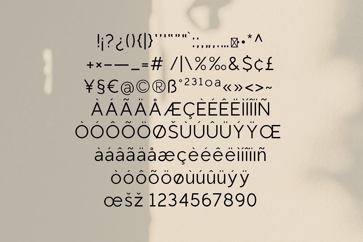 Regon Modern Sans Serif Font, a Sans Serif Font by Dicubit (Photo 10 of 10)