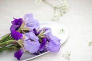 Purple Iris Styled Stock Collection, a Photo by Chalking Up Stock (Thumbnail 17 of 19)
