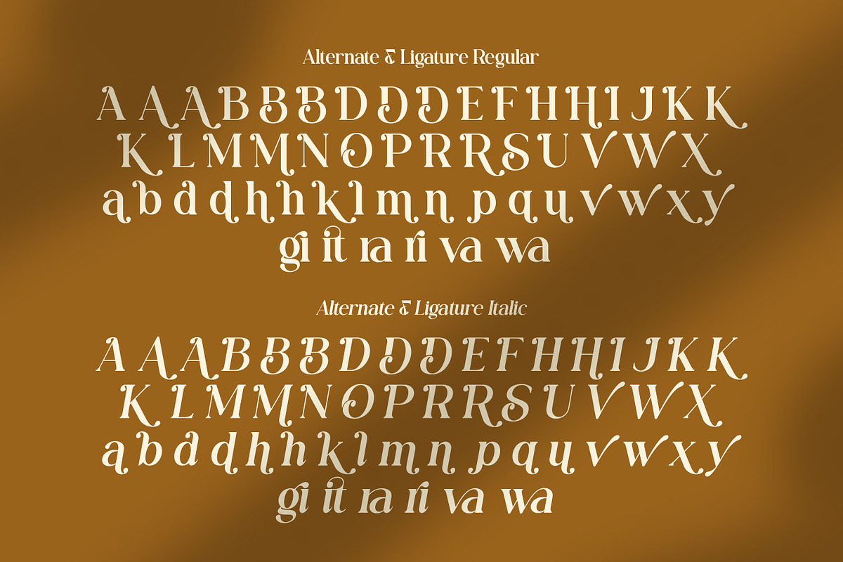 Vonza Regalia – Luxury Serif Duo Fon, a Sans Serif Font by Flawless And Co (Photo 10 of 10)