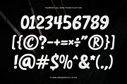 Melliot - Brush Font, a Sans Serif Font by Flawless And Co (Thumbnail 8 of 10)