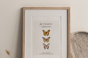 Watercolor Birthmonth florals Set, a Decorative Illustration by Grace Noboa Illustrations (Thumbnail 4 of 10)