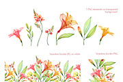 Watercolor Tropical Floral Set, a Decorative Illustration by Akvarelldesign (Thumbnail 2 of 3)