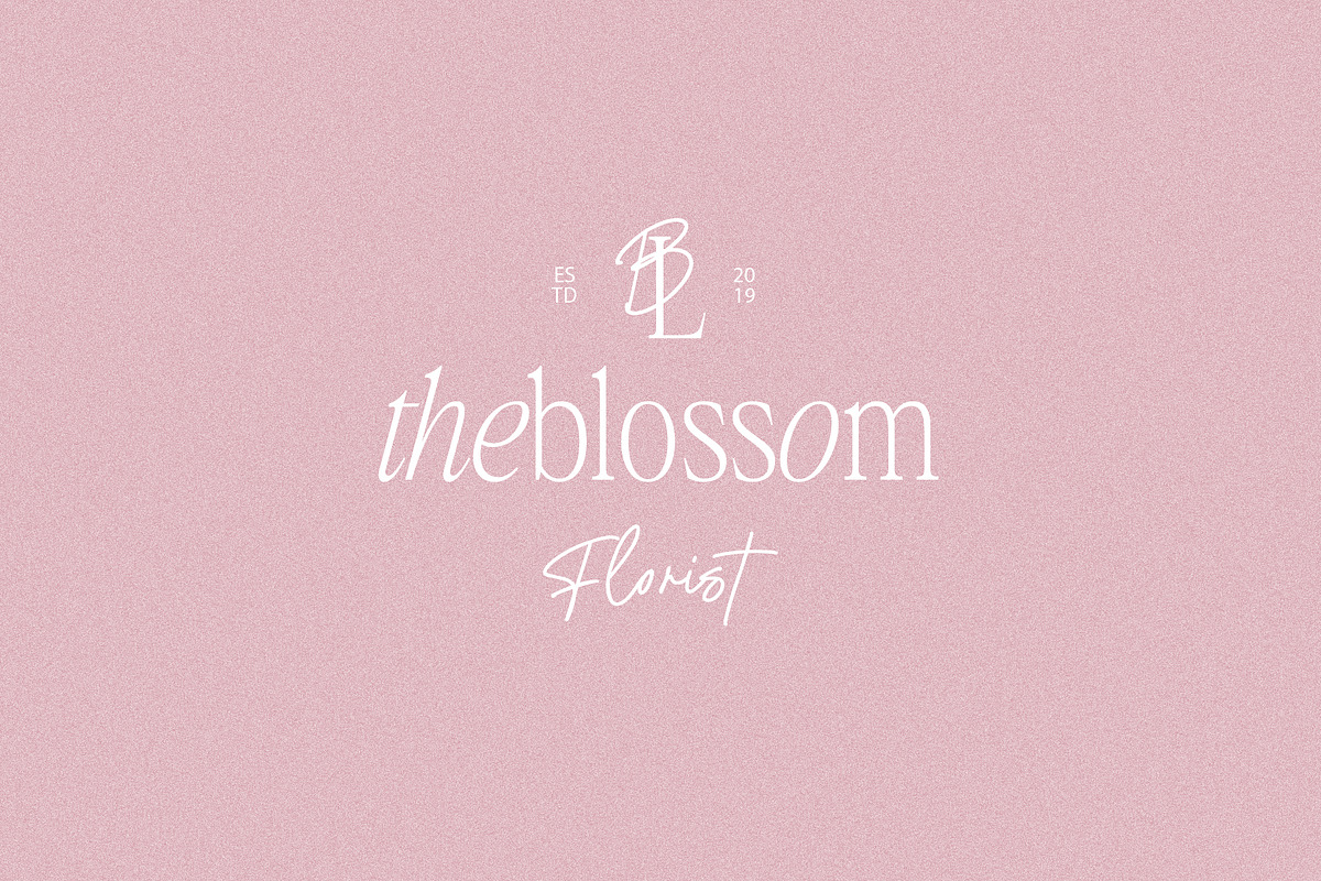 Chromate / Modern Serif Font Duo, a Serif Font by supfonts (Photo 7 of 10)